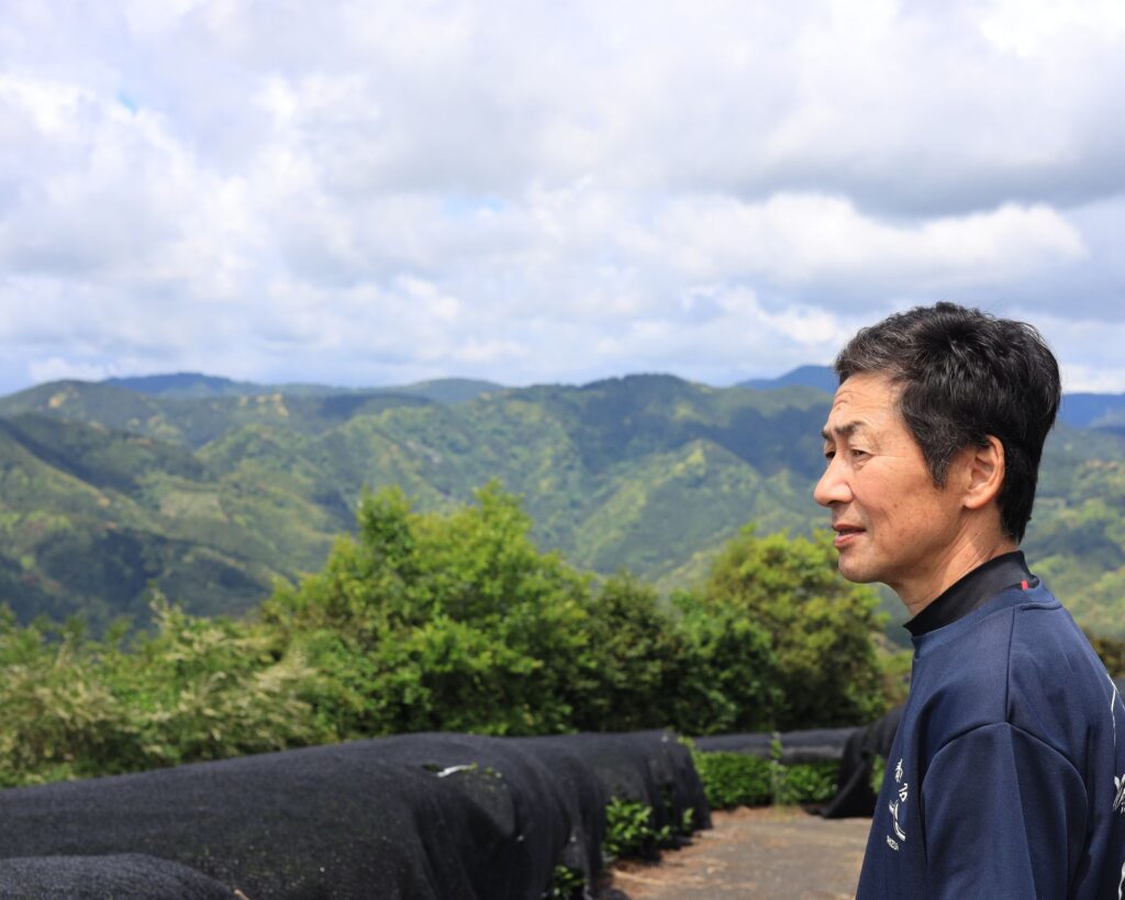 A japanese tea farmer looks across his tea gardens 