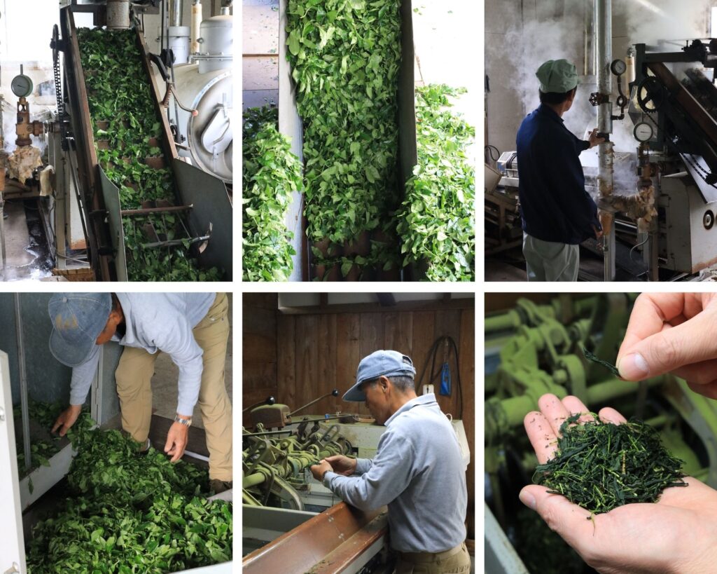 the production of hand plucked japanese gyokuro 