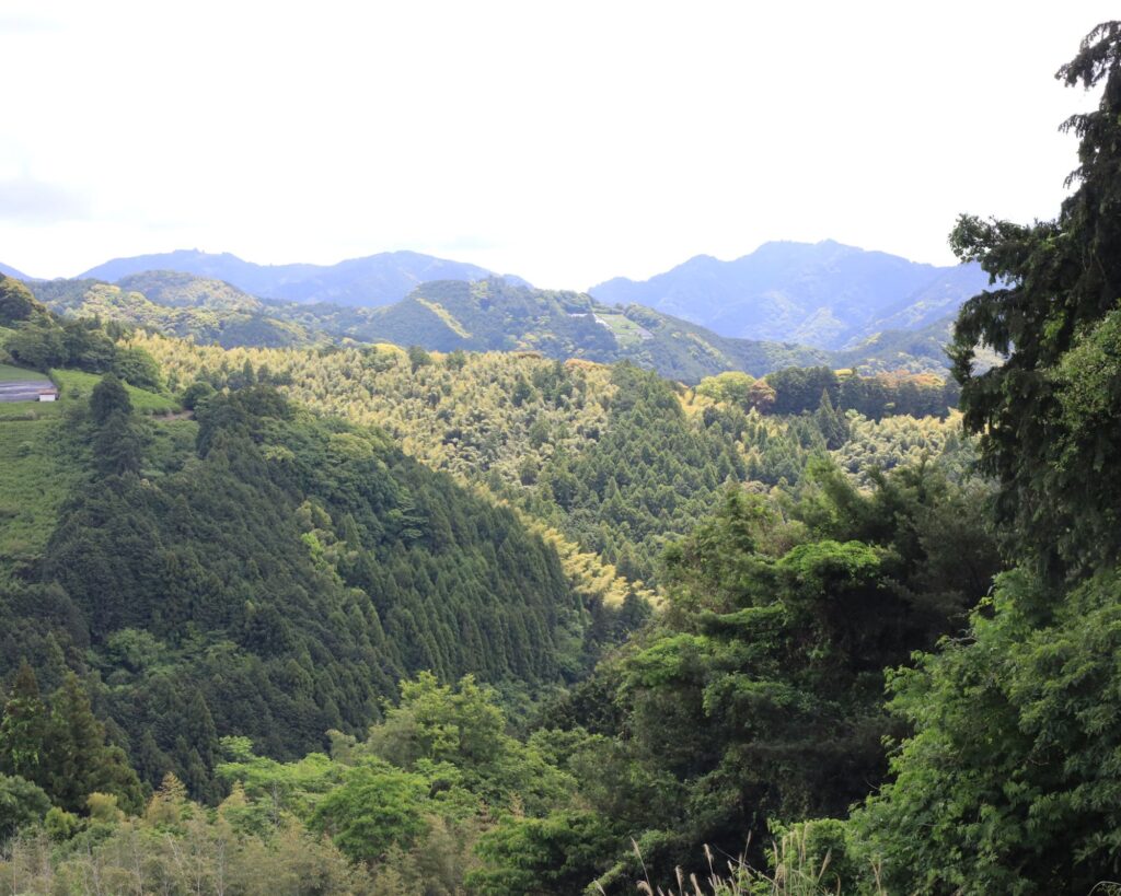 Views over Japanese forests in Hoshino