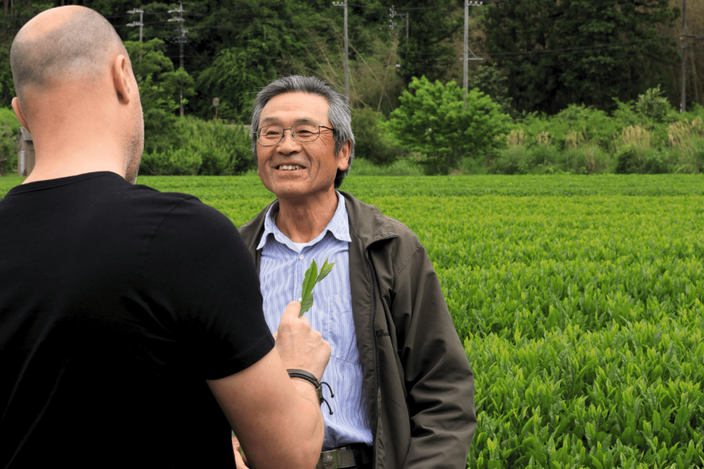 Japanese Tea Stories 